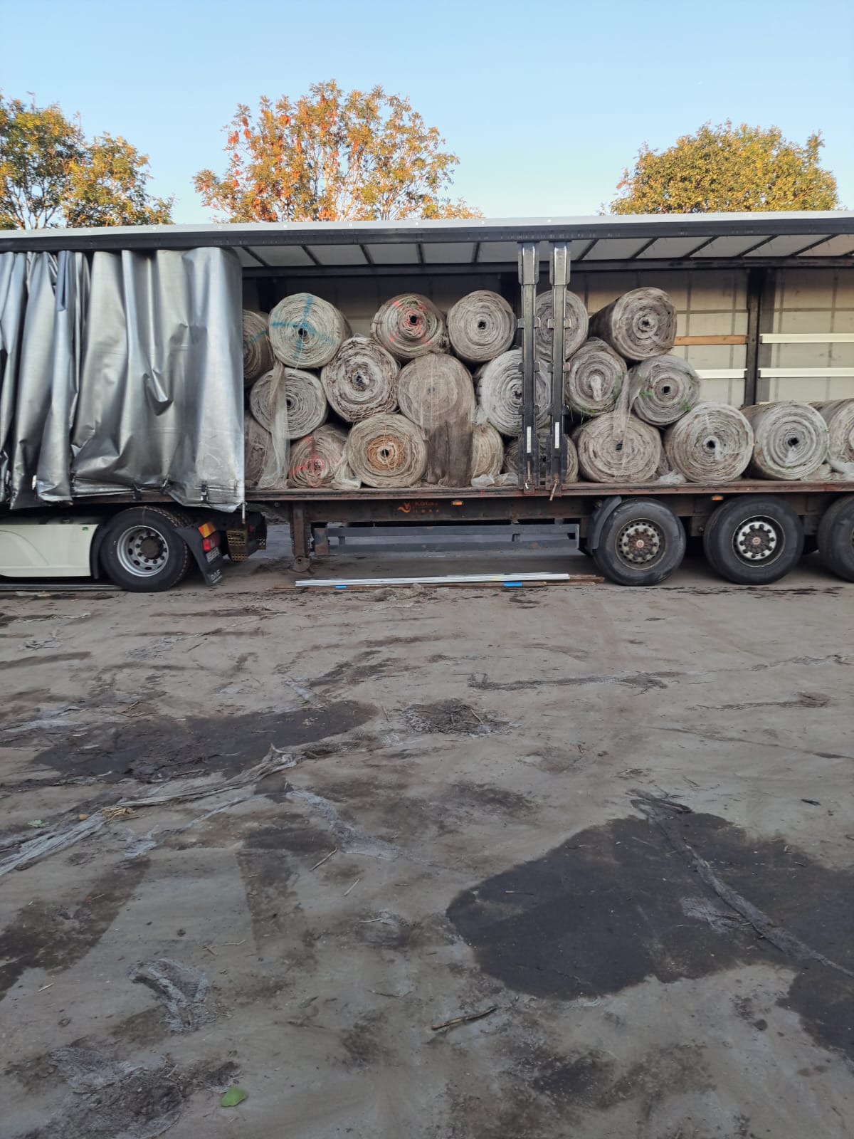 Мініатюра 11